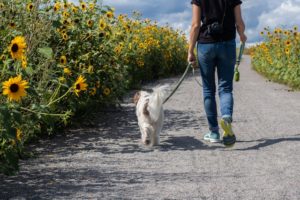 custom drinkware for walking